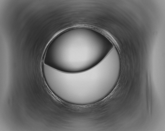 X0000116591292200912101324