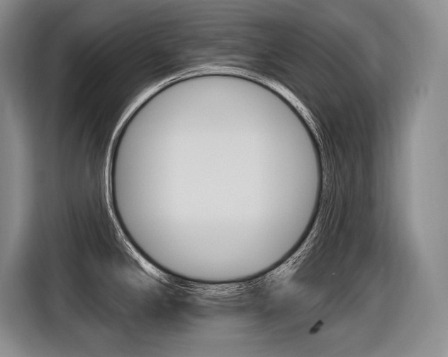 X0000116591294200912101324