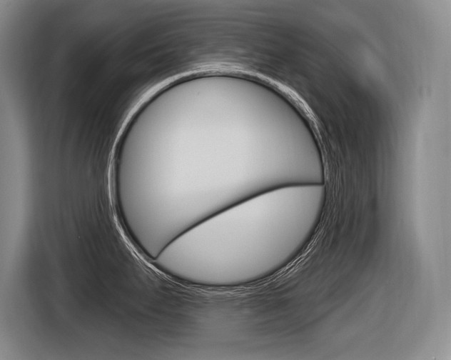 X0000116591295200912101324