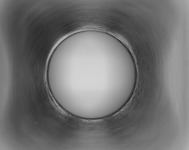 X0000116591296200912101323