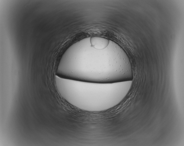 X0000116591297200912101323