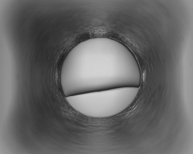 X0000116591299200912101323