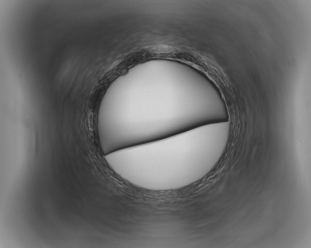X0000116591301200912101323