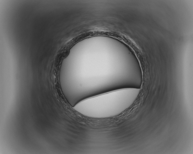 X0000116591303200912101323
