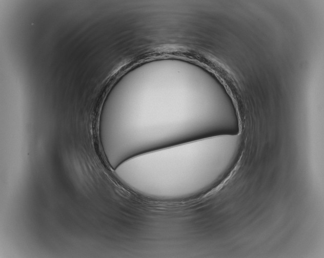 X0000116591305200912101323