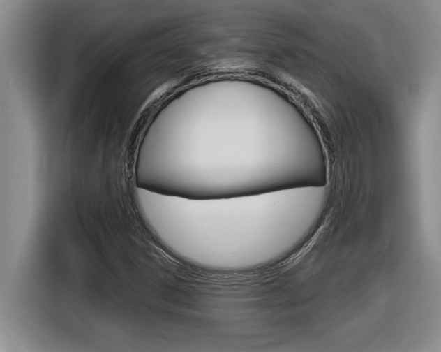 X0000116591306200912101323