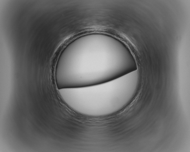 X0000116591307200912101323