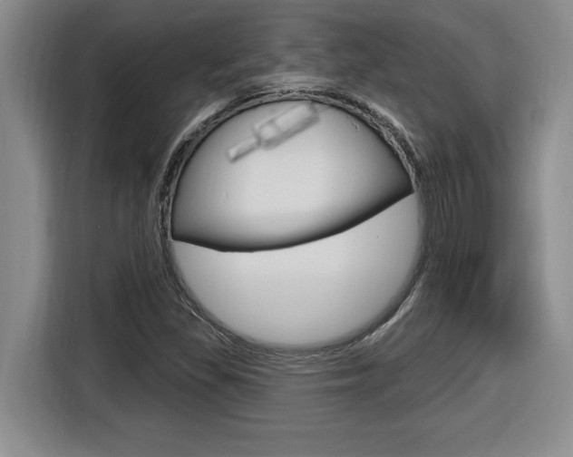 X0000116591309200912101323