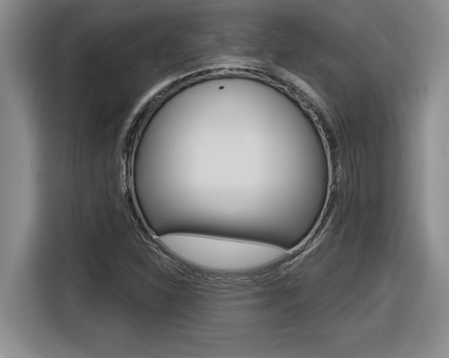 X0000116591310200912101323