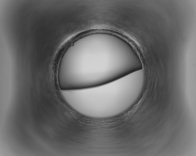 X0000116591311200912101323