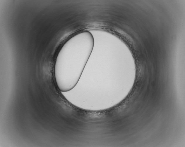 X0000116591314200912101323