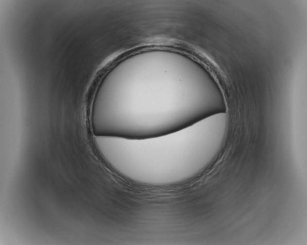 X0000116591315200912101323