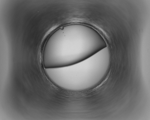 X0000116591317200912101323