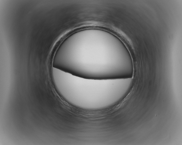 X0000116591318200912101323