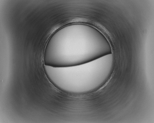 X0000116591321200912101323