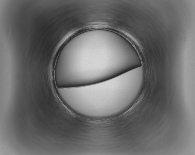 X0000116591325200912101323