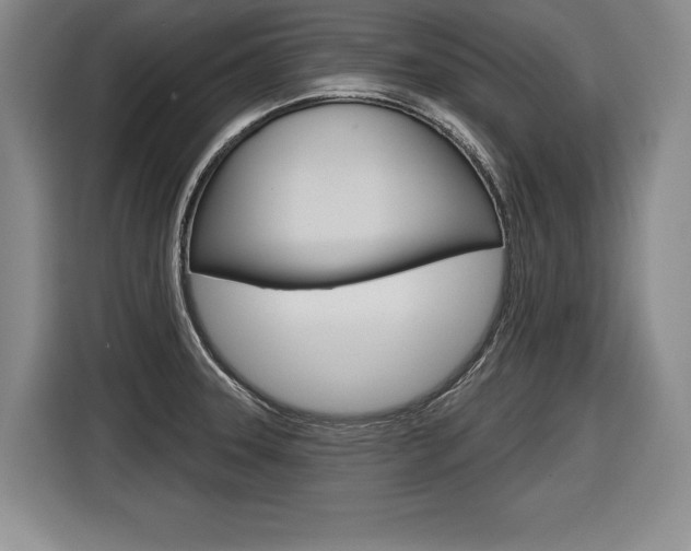 X0000116591331200912101323