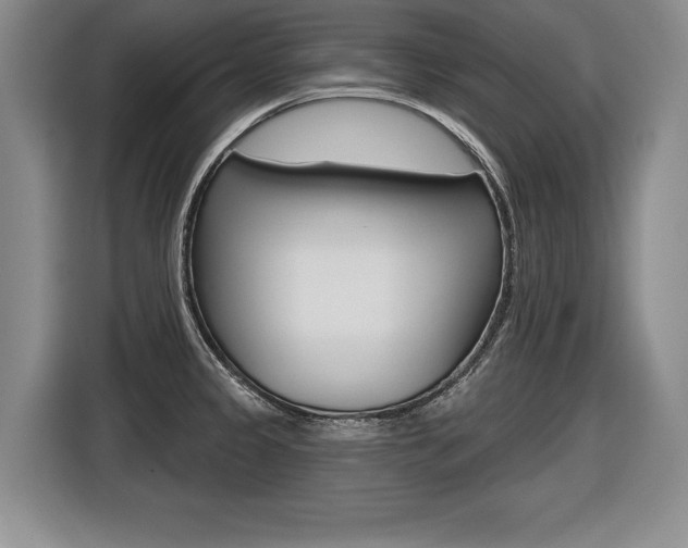 X0000116591333200912101323