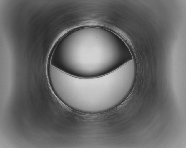 X0000116591334200912101323