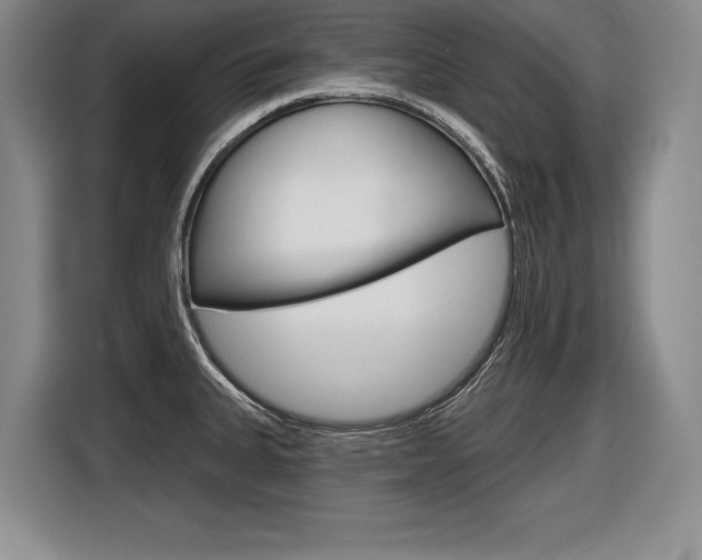 X0000116591335200912101323