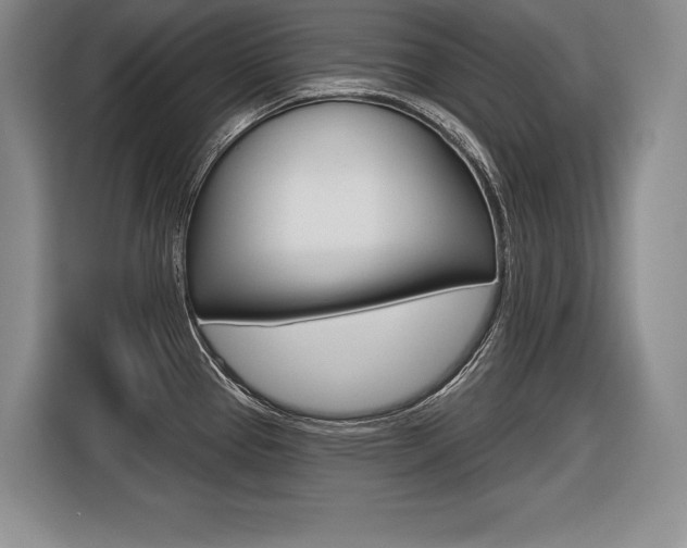 X0000116591337200912101323