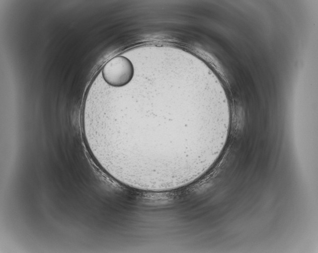 X0000116591338200912101323