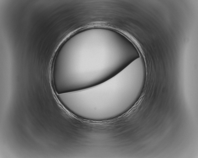 X0000116591341200912101323