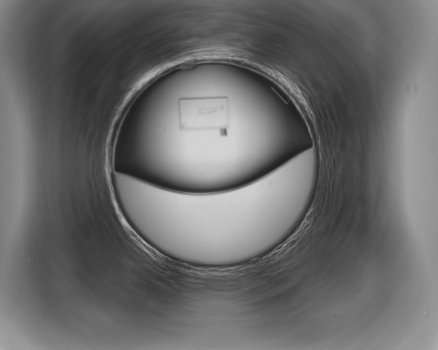 X0000116591342200912101323