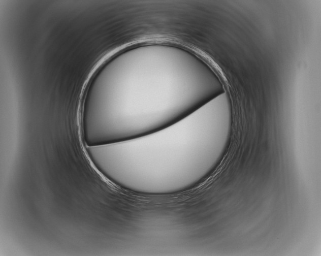 X0000116591343200912101323
