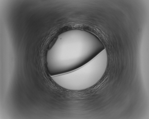 X0000116591345200912101323