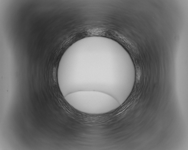 X0000116591346200912101323