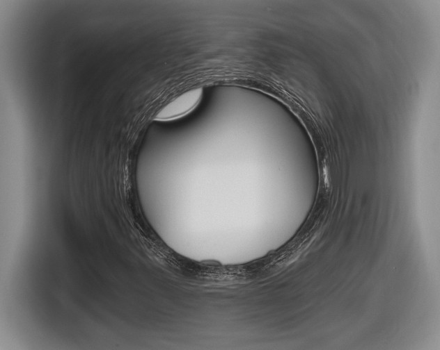 X0000116591347200912101323