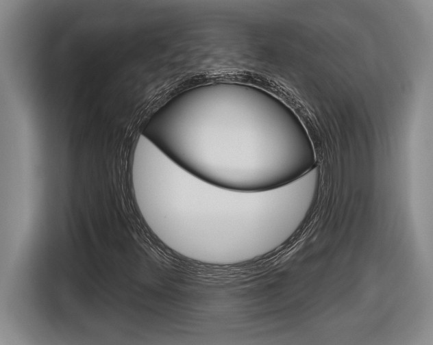 X0000116591348200912101323