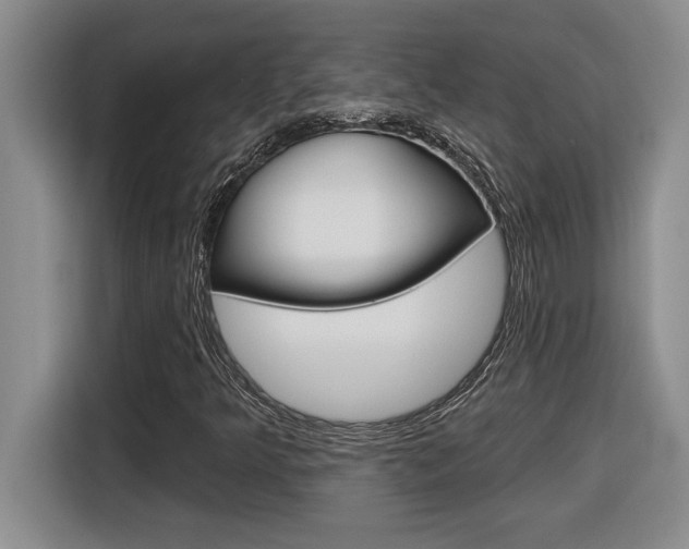X0000116591349200912101323