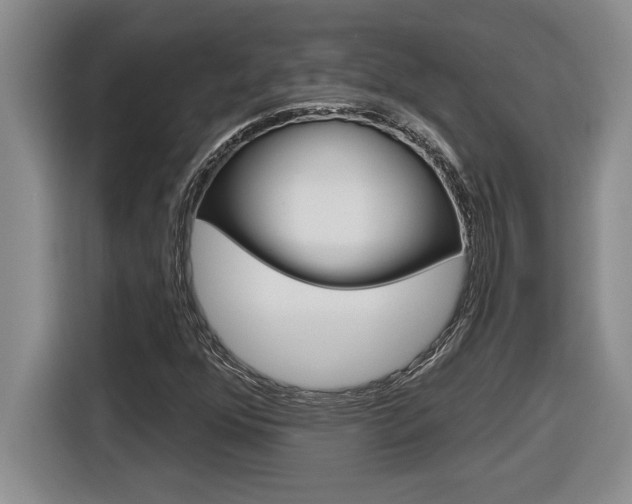 X0000116591352200912101323