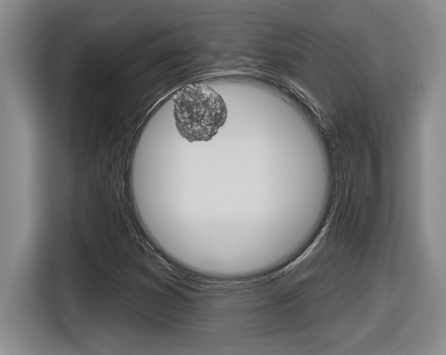 X0000116591353200912101323