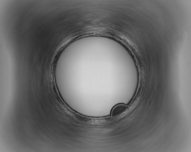 X0000116591354200912101323