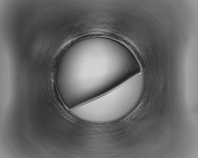X0000116591355200912101323