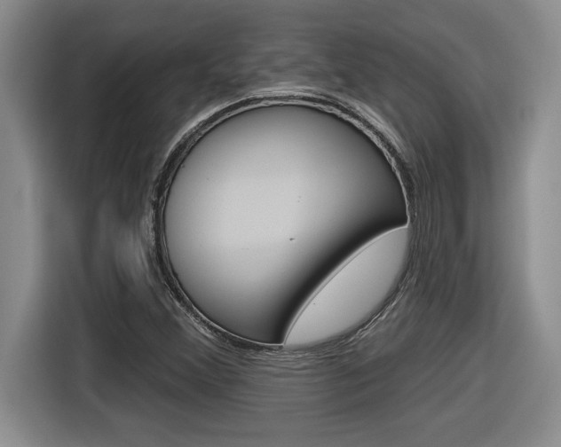 X0000116591356200912101323