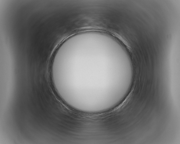 X0000116591357200912101323