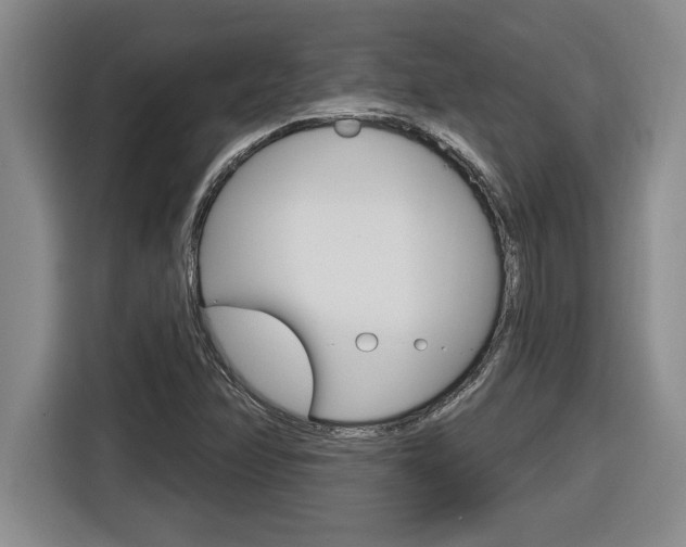 X0000116591358200912101323
