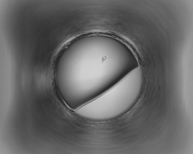 X0000116591359200912101323
