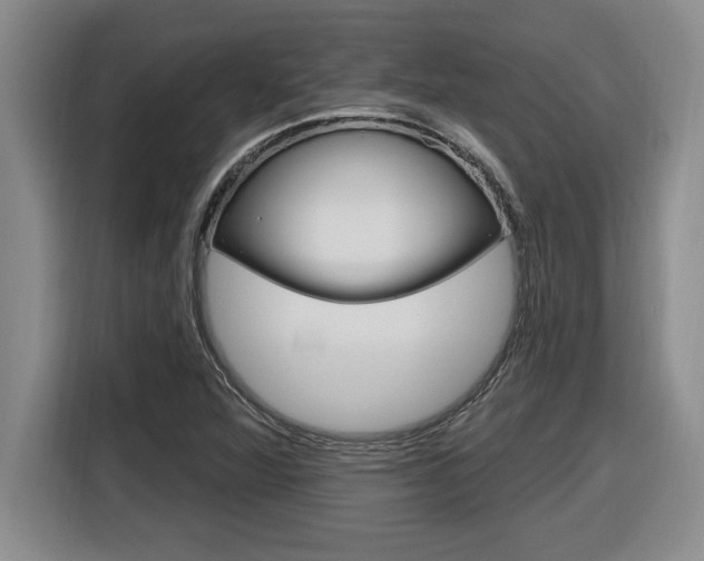 X0000116591360200912101323