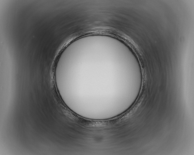 X0000116591362200912101323