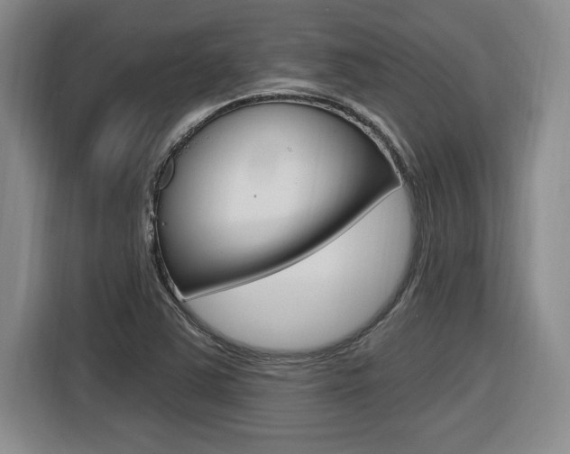 X0000116591363200912101323
