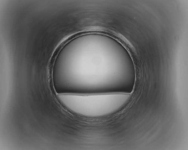 X0000116591364200912101323