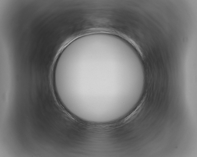 X0000116591365200912101323