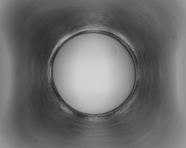 X0000116591366200912101322