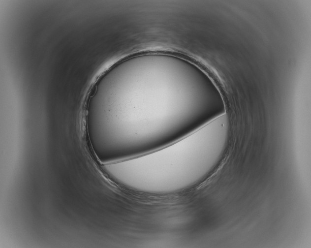 X0000116591367200912101322