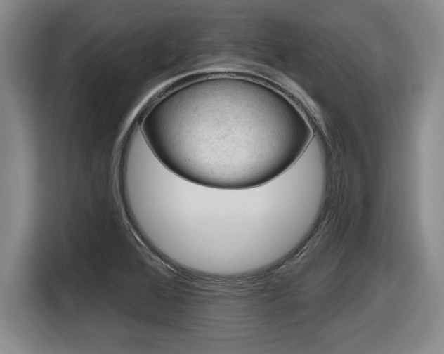 X0000116591368200912101322